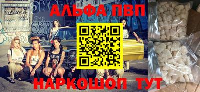 индика Кингисепп
