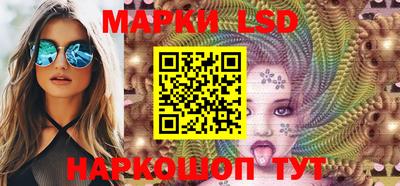 индика Кингисепп