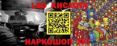 индика Кингисепп