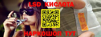индика Кингисепп