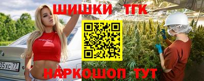 индика Кингисепп