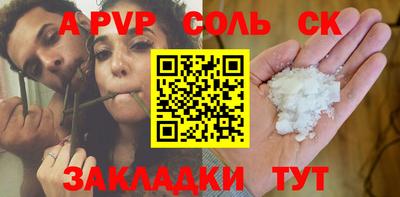 индика Кингисепп