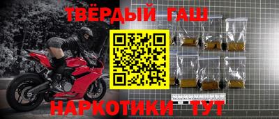 индика Кингисепп