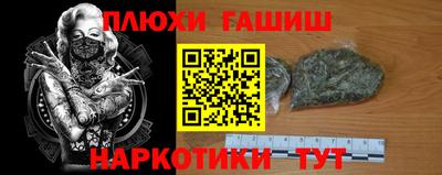 индика Кингисепп