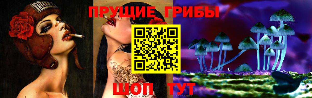 Кировск  Псилоцибиновые грибы Cubensis  дарнет шоп  Вход с VPN 